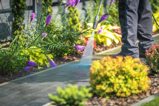 Best Deck and Patio Pressure Washing in Bella Vista, CA